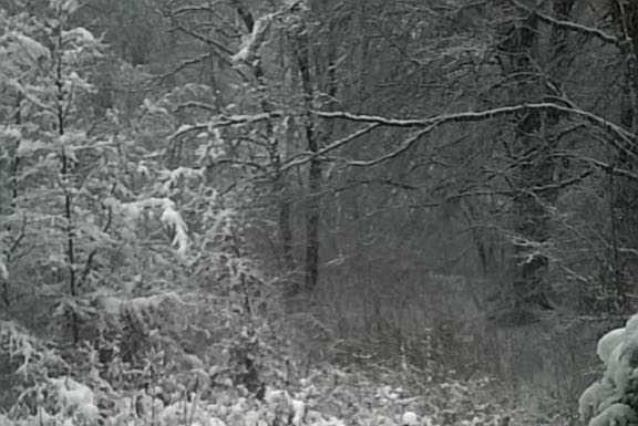 Maltempo sul lecchese e in montagna torna la neve, le foto