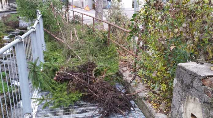 Bonifica del torrente Gerenzone all’altezza del ponte di Malavedo