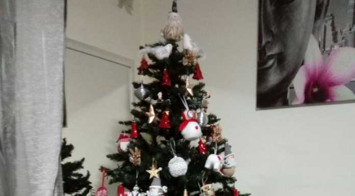 Si chiude l’iniziativa Live #ilmioalberodinatale. Grazie a tutti e che sia un Felice Anno Nuovo!