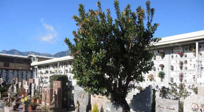 Atti vandalici al cimitero di Castello: “Mettete le telecamere”