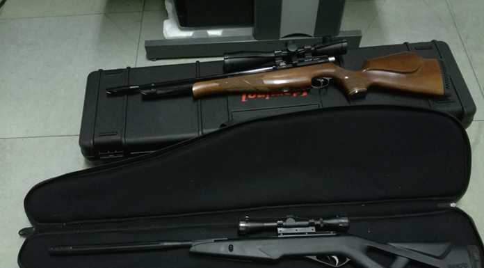 Spara al cane del vicino con una carabina ad aria compressa: denunciato