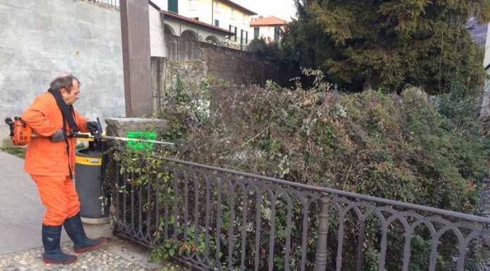 Mandello. L’impegno della Protezione civile per la pulizia del fiume