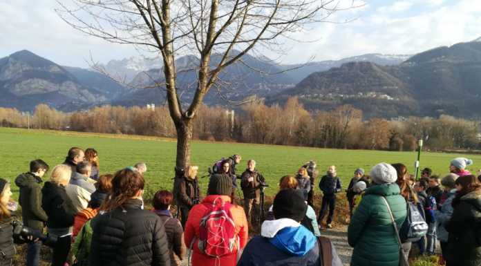 Legambiente. Successo per l’escursione ornitologica alla palude di Brivio