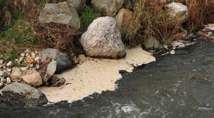 Schiuma bianca nel Rio Torto, il WWF chiede spiegazioni a Lario Reti