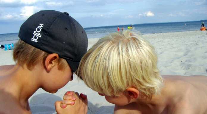 Psicologia e Vita. L’uso della forza nelle relazioni