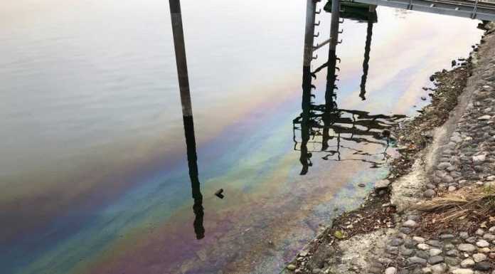 Olginate. Allarme per una macchia oleosa nel lago, in corso gli accertamenti