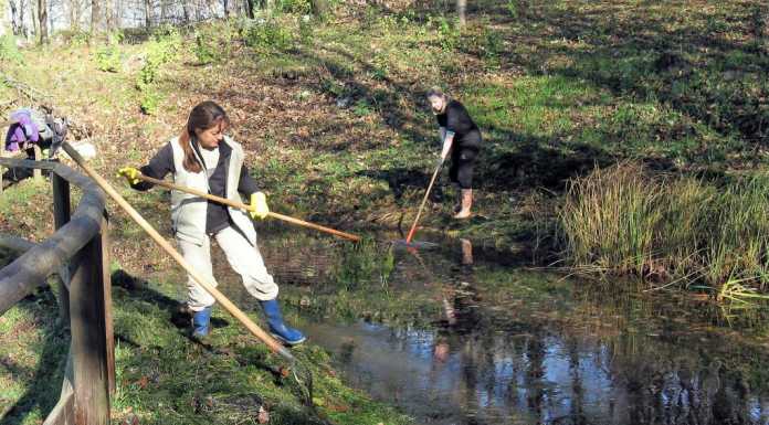 WWF sabato sul Barro per la manutenzione dello stagno di Prà Pozzetto
