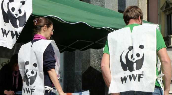 Wwf Lecco. Torna “Earth hour”, Dolzago il primo comune ad aderire