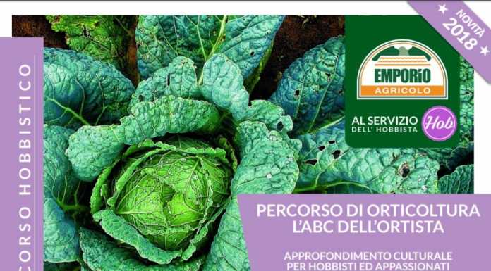 Orto, che passione! All’Emporio Agricolo un corso per gli hobbisti