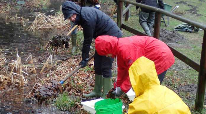 WWF al lavoro per ripristinare lo stagno di Prà Pozzetto nel parco del Barro