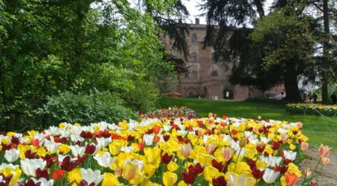 Con Avpl: “Messer Tulipano” al Castello di Pralormo