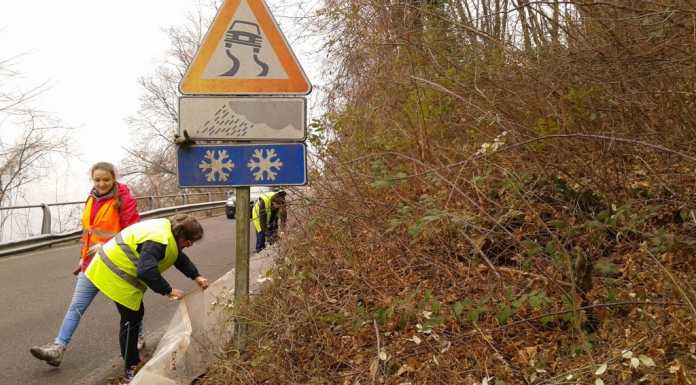 Moregallo, iniziata la campagna ‘salva rospi’, volontari al lavoro