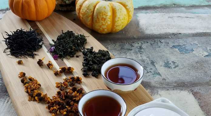 Fai Giovani. Alla “Zucca Matta” per scoprire l’origine del tè