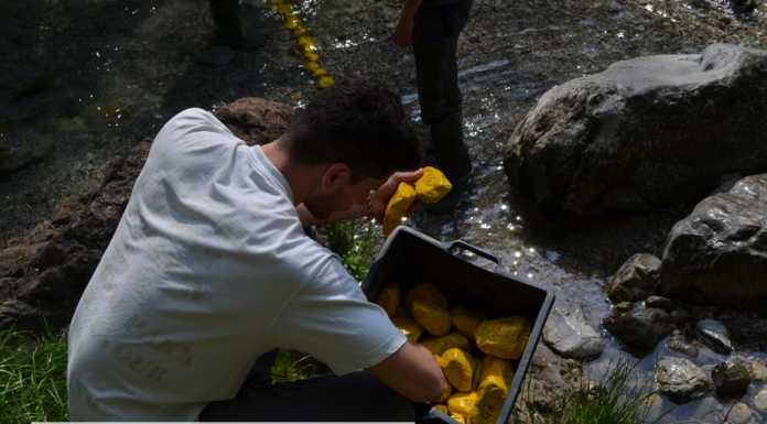 Il Caldone laboratorio per il rischio idrogeologico, rilasciati 300 “sassi gialli”