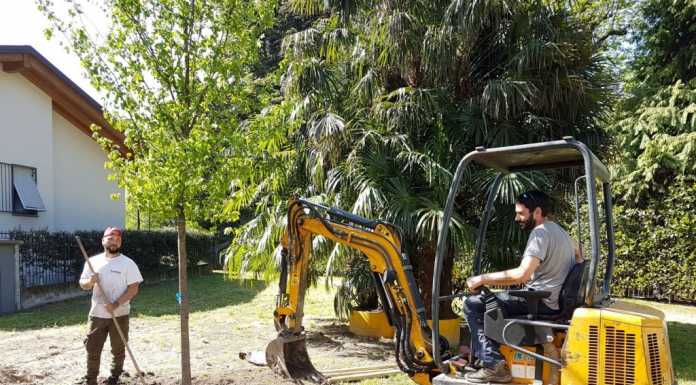 Dervio: nuovi alberi e nuovi tavolini. Al via i lavori per verde e arredo