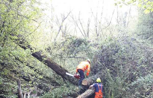 Dolzago, Protezione Civile al lavoro per ripulire il letto del Gandaloglio