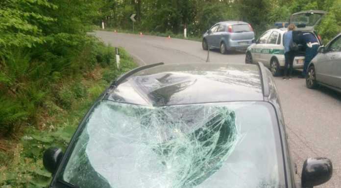 Schianto sulla SP a Villa Vergano: biker trasportato al S. Gerardo