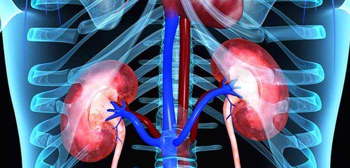 Lecco ospita il XIX Convegno della Società Italiana di Nefrologia