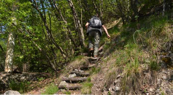 Sentiero del Viandante, si crea la rete del turismo: 300 partecipanti al corso