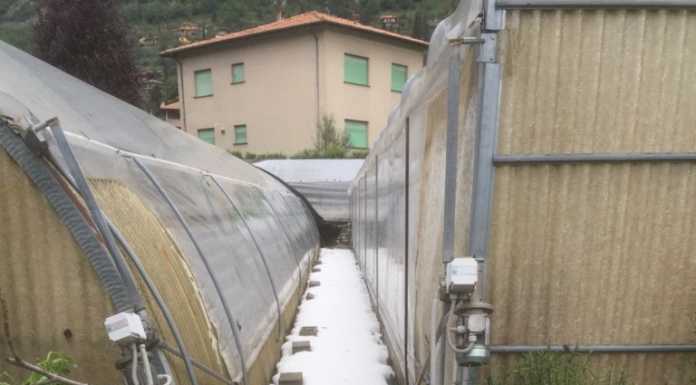 Maltempo e grandine, la Coldiretti conta i danni tra Lecco e Como
