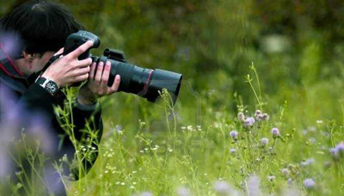 La natura protagonista del concorso fotografico lanciato dal WWF