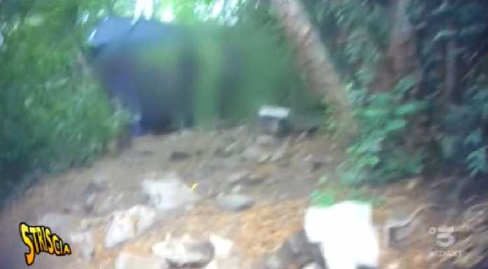 Spaccio nei boschi. Parlano sindaci e Questura dopo il servizio di Striscia