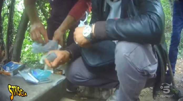 Il bosco della droga? “Riqualifichiamolo” sarà il Parco Canile