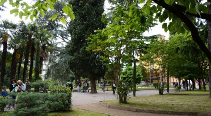 Quasi cento nuovi alberi in città, ecco il piano del verde urbano