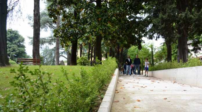 Verde urbano, il Comune al lavoro per un regolamento ‘ad hoc’
