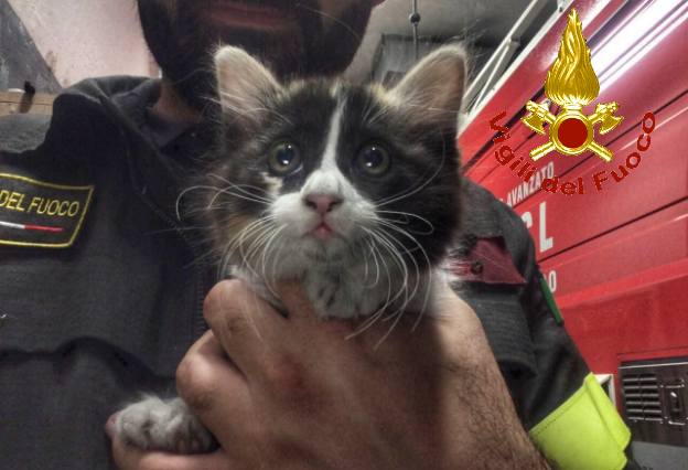 Immagine1529316615449