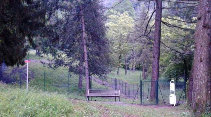 Ballabio. Realizzata l’area di sgambamento per cani al Parco Due Mani