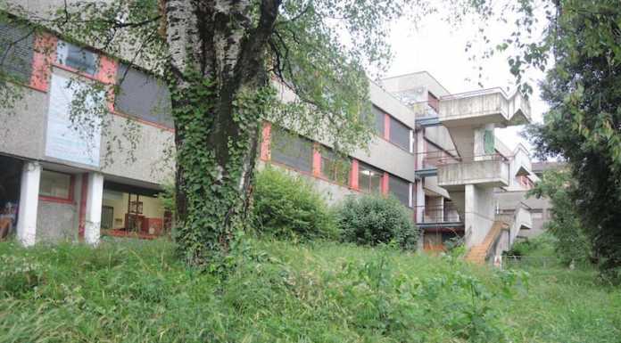 L’erba non aspetta i tempi della burocrazia, il liceo artistico è una giungla