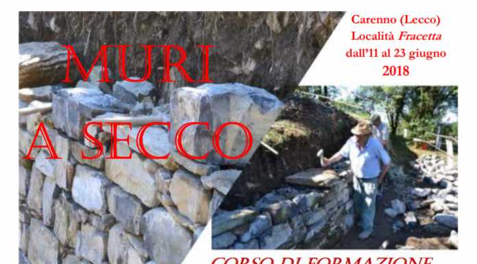 Valle dei Muratori, gli studenti al lavoro per ricostruire il muro a secco