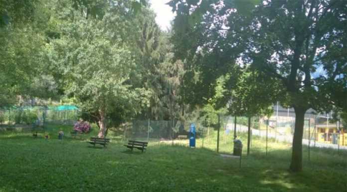 Verde Urbano, FDI: “Lecco fanalino di coda. Ambiente? La rivoluzione parte da qui”