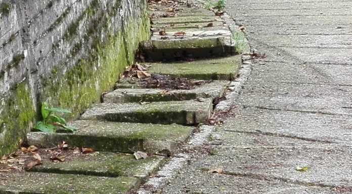 Squadra Antincendio al lavoro, conclusa la prima fase di pulizia della pista tagliafuoco