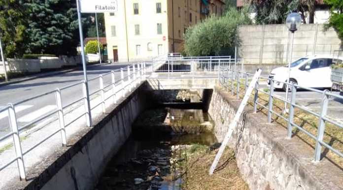 Garlate. La Protezione Civile al lavoro per ripulire il torrente Molina