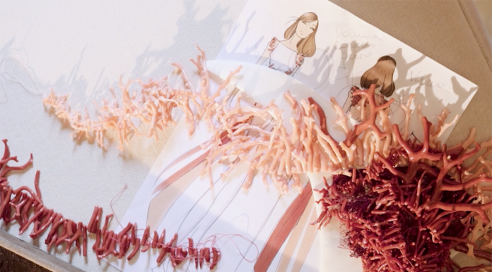 Creato il primo abito gioiello dello stilista Riva con Chantecler