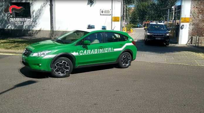 Traffico di rifiuti e discariche abusive: nove arresti e sequestri per oltre 2 milioni di euro