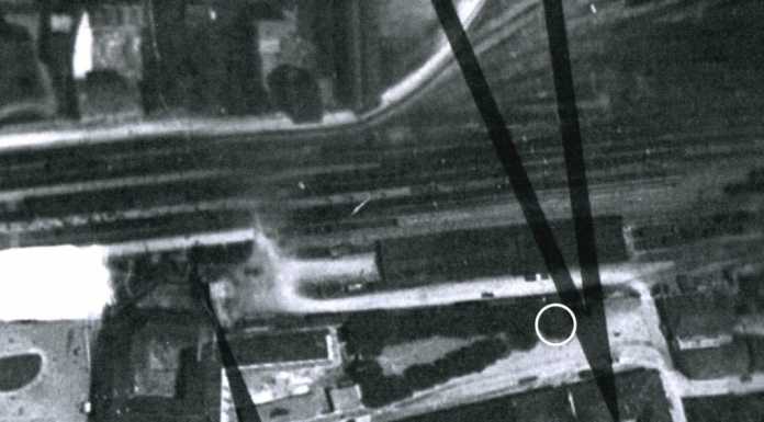 Una foto di Via Sassi nel 1938. Buizza: “Se fosse lo stesso olmo…”