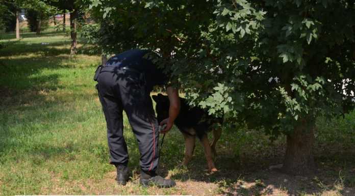 Carabinieri. Controlli nelle stazioni e aree boschive, due denunce per spaccio