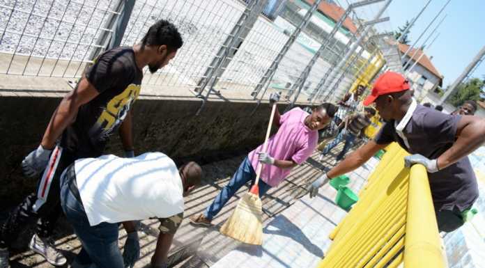Migranti ‘volontari’ allo Stadio di Lecco: il progetto ha inizio