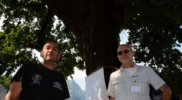 Pro Parco: “Quell’olmo è una pianta monumentale, perché abbatterlo?”