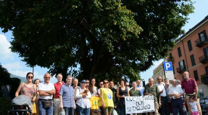 Via Sassi e il parcheggio. Sit-in di protesta: “Le piante non si tagliano”