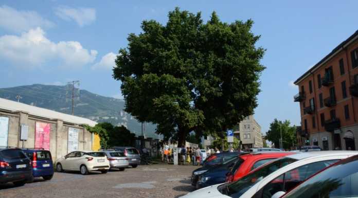 Via Sassi e gli alberi, il Comune: “Non è solo una questione di parcheggi”