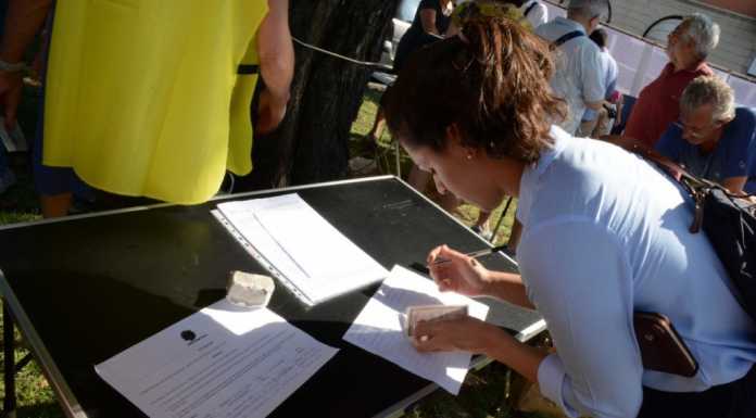 Quasi un centinaio di firme per salvare gli alberi di via Sassi