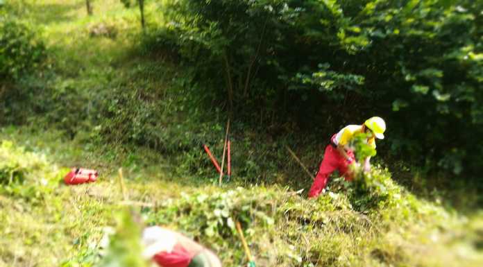 Ballabio. La Protezione Civile al lavoro per ripulire il torrente Grigna