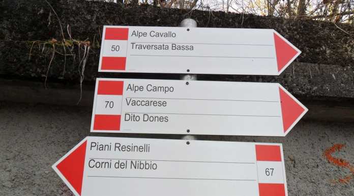 Riqualificazione sentieri Ballabio. Goretti (Alpini): “Lavoraccio e accordi non rispettati”