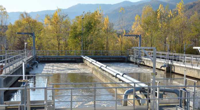 La depurazione dipende da te