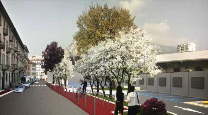 Via Sassi. Sacrificati 16 posti auto, ma l’olmo rimane dove è