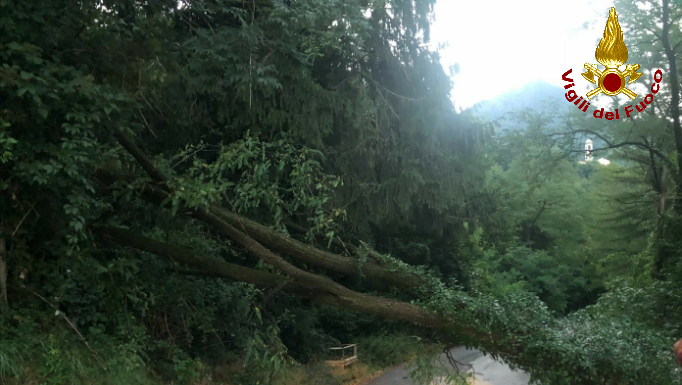 Maltempo: pompieri al lavoro. Fulmine su una casa a Taceno